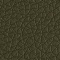 Eco-Leather-Arizona-Forest-120x120.jpg